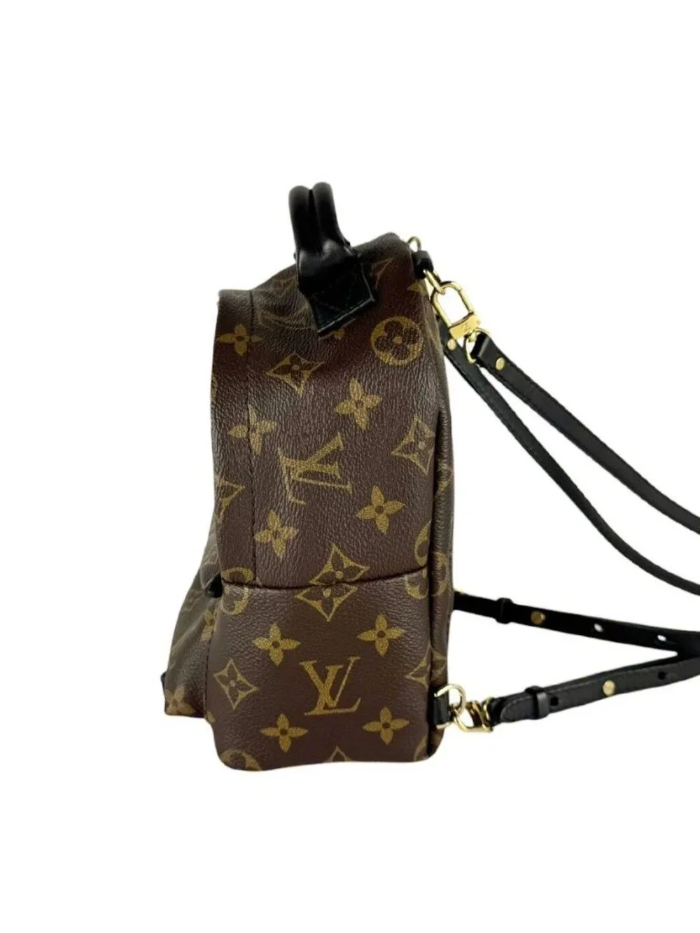 Louis Vuitton Backpack Palm Springs Mini